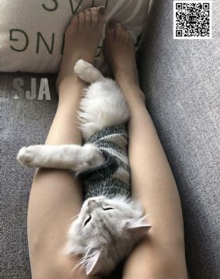 三级网站在线免费观看