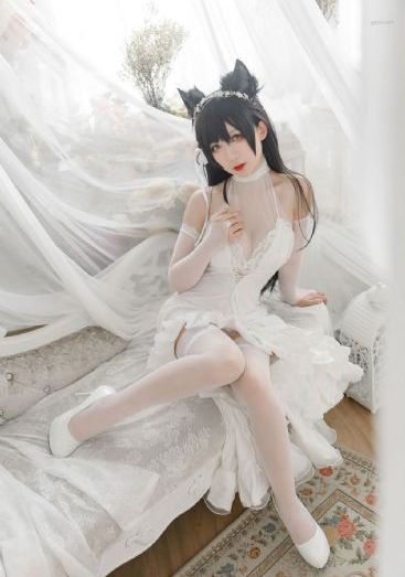 关键词优化软件
