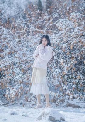 宁安如梦电视剧免费观看策驰影院